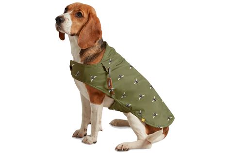 10 stylish dog coats: the best warm, waterproof and high-vis designs ...