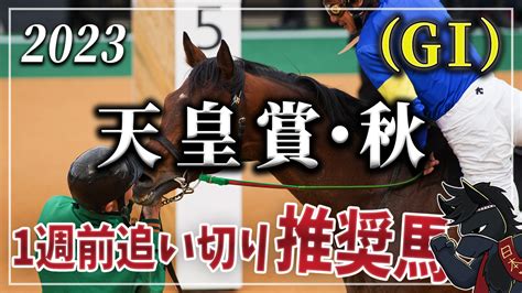 2023年天皇賞・秋（gⅠ）1週前追い切り評価と推奨馬 【競馬好きへ】がるちゃんの初めの一歩