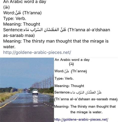 Pin By Wendy Lee On Arabic Learning Arabic Word Of The Day Arabic Words