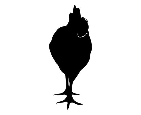 Silueta De Pollo Vectorial Aislada Sobre Fondo Blanco Vector Premium