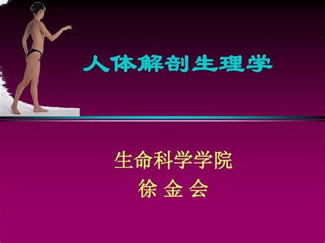 绪 论word文档在线阅读与下载无忧文档