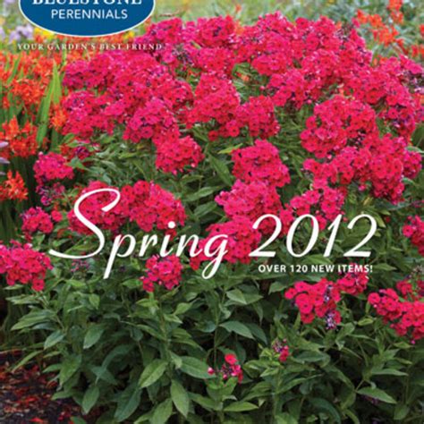 Catalog Review: Bluestone Perennials - FineGardening