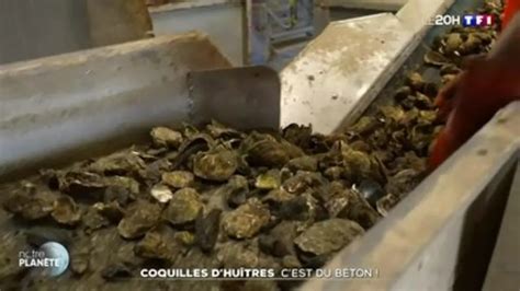 Replay Journal De Tf Du Coquilles D Hu Tres C Est Du