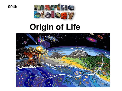 Ppt Origin Of Life Powerpoint Presentation Free Download Id9518864