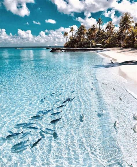 Maldives ở đâu? Maldives là của nước nào? Khám phá thiên đường du lịch ...