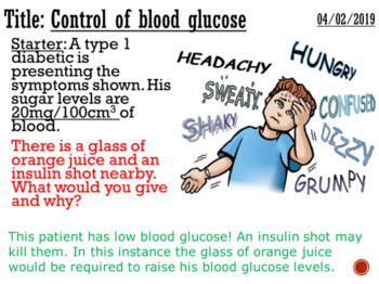 Control Of Blood Glucose Complete Lesson By Dr MN TpT