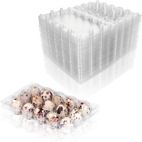 Amazon ACXFOND 100 Pcs Quail Egg Cartons 15 Grids Clear Quail Egg