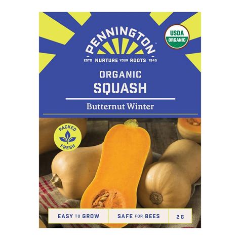 Pennington Organic Squash Butternut Winter Fruit Seed 0798 The Home Depot