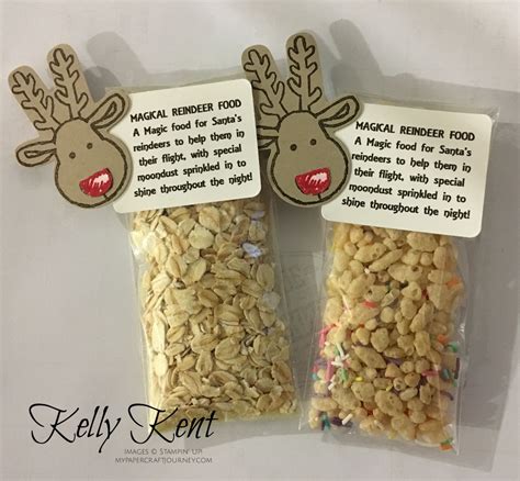 Magical Reindeer Food Reindeer Food Christmas Craft Fair Stampin Up