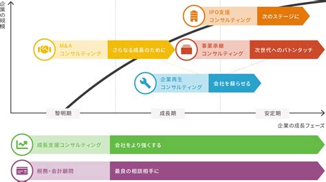 事業内容 わかば経営会計 採用サイト