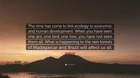 E O Wilson Quote The Time Has Come To Link Ecology To Economic And