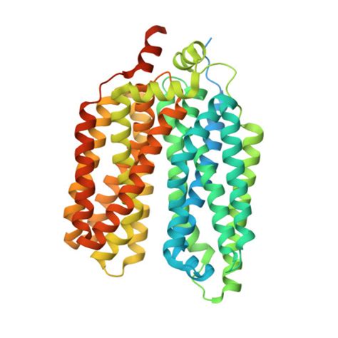 Rcsb Pdb Qcy Cryo Em Structure Of The Outward Facing Flvcr