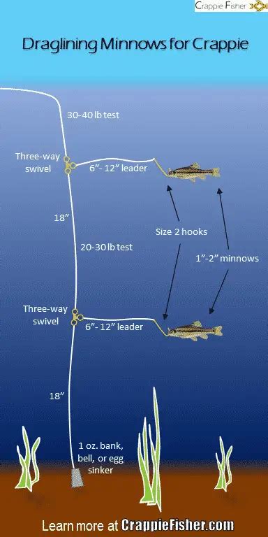 Must Know Crappie Fishing Techniques