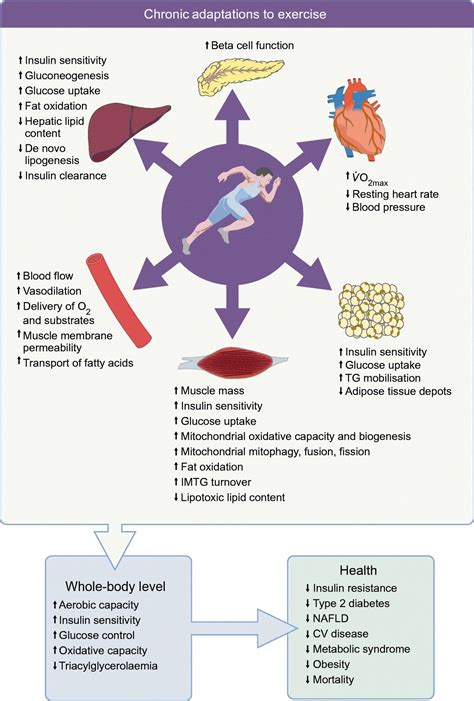 Physio Meets Science On Twitter Exercise And Metabolic Health Beyond