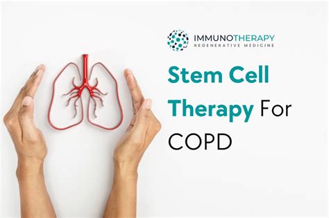 Stem Cell Therapy For Copd 2024 A New Treatment Era