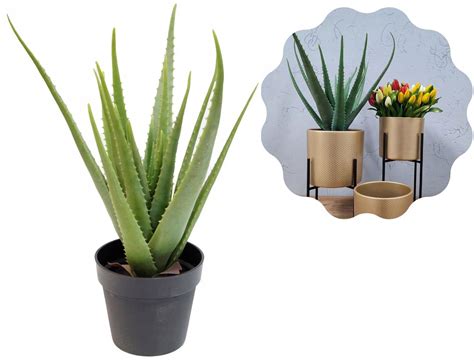 Aloes Cm Silikonowy Jak Ywy W Doniczce Xl Aloes Sztuczna Ro Lina W