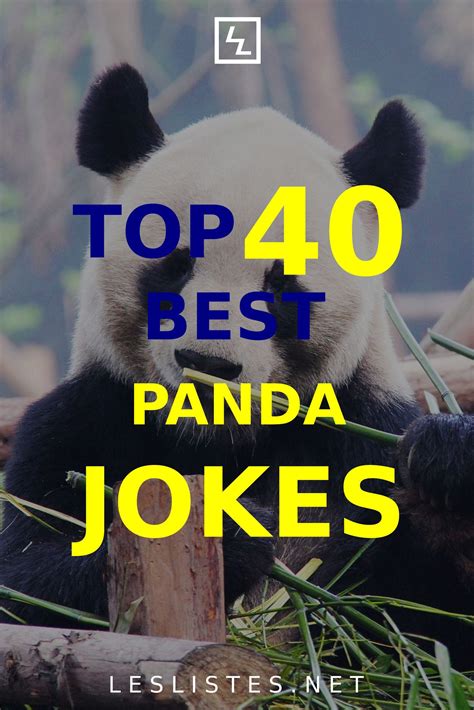 The Top Panda Jokes That Will Make You Lol Les Listes Jokes