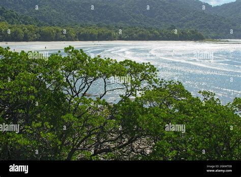 Cape Tribulation - where the rainforest meets the sea Stock Photo - Alamy