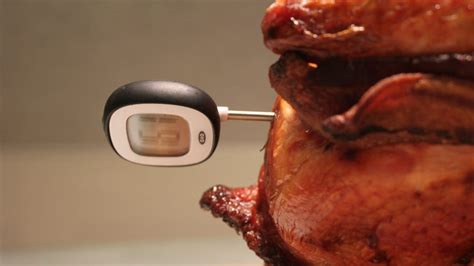 A Digital Thermometer Makes Cooking Infinitely Easier