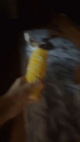 Cat Corn GIF - Cat Corn Chase - Discover & Share GIFs