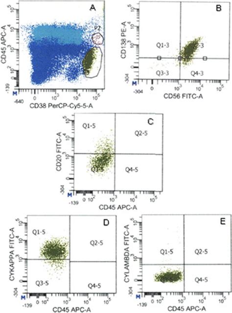 Analysis Of Plasma Cells By Four Color Flow Cytometry FC A The Cells