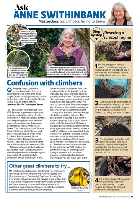 Amateur Gardening Magazine FREE Sample Issue Special Issue