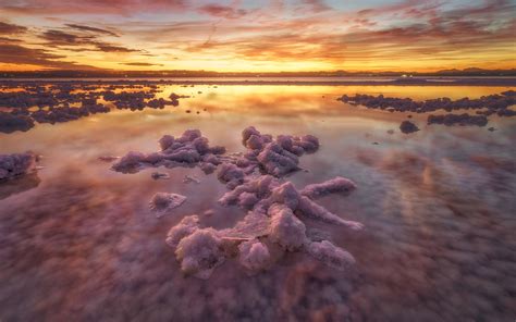 Las Lagunas Torrevieja Lagoon Alicante Spain Bing 4K Preview