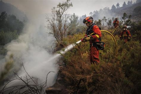 El Consell inicia les actuacions per a palliar els danys produïts pels