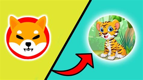 BNB TIGER IS PUMPING BNB TIGER THE NEXT SHIBA INU WILL CREATE