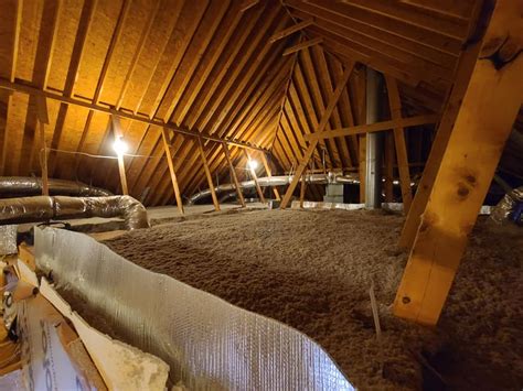 Top 5 Problems With Cellulose Attic Insulation And Solutions - Bird ...