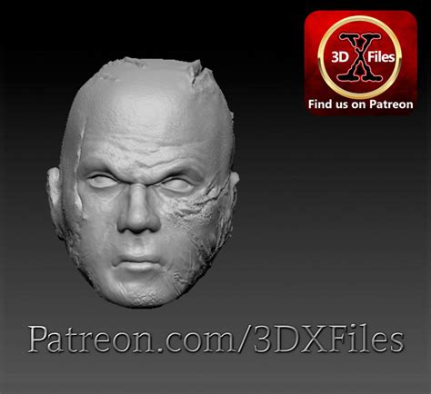 Fichier Stl Gratuit Dark Vador Hot Toys T Te Sculpt E Chelle Anakin Mod Le Gratuit