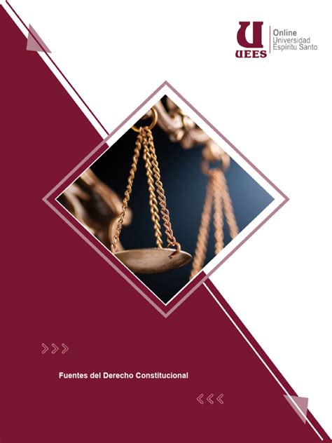 Semana 3 Apunte Fuentes Del Derecho Constitucional Pdf Caso De