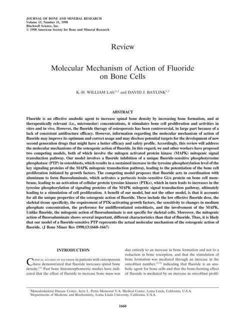 PDF Molecular Mechanism Of Action Of Fluoride On Bone Cells