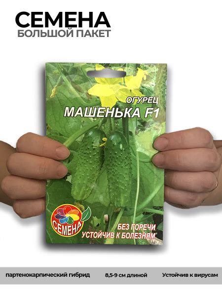 Огурцы СЕМЕНА огурцы - купить по выгодным ценам в интернет-магазине ...