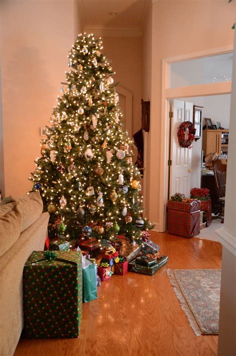 Christmas Tree One Of The Christmas Trees In My Parents H Joe