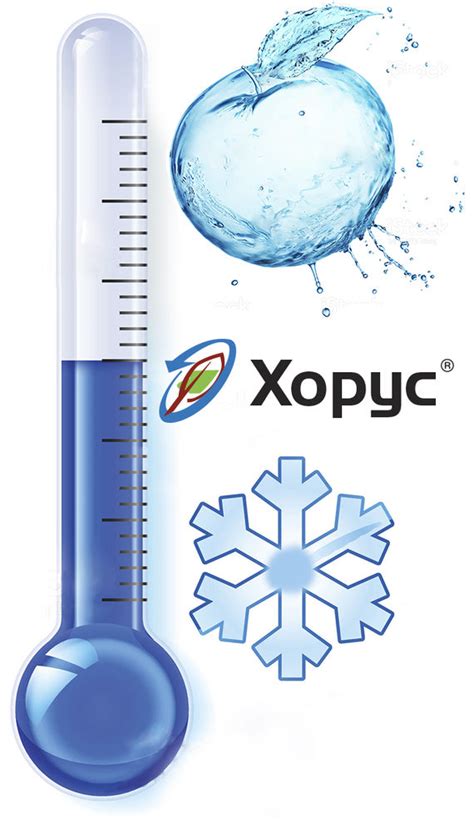 Фунгицид Хорус - Фунгицид | Syngenta