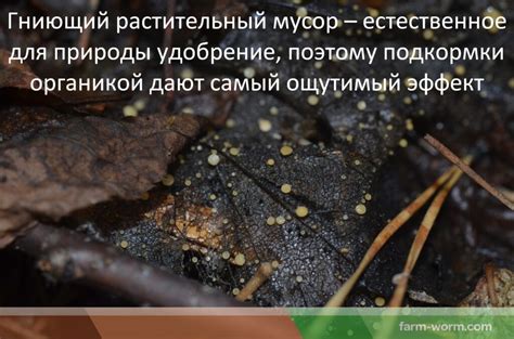 Промышленные удобрения. Виды, классификация, воздействия на почву - Диптера