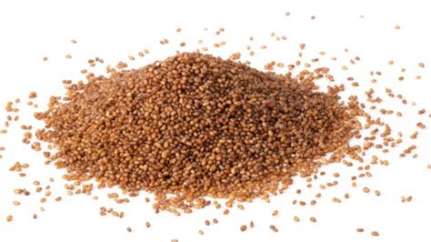 Teff A Nutritious Gluten Free Grain