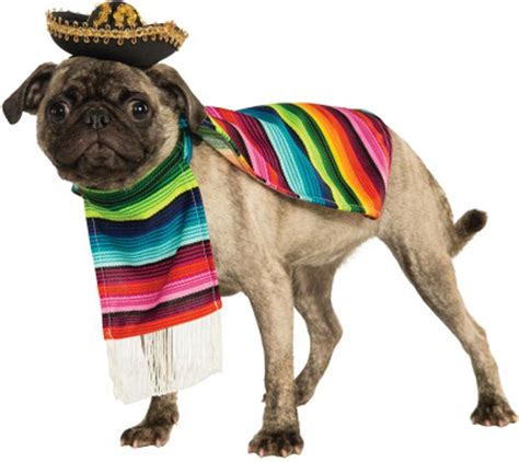 Mexican Poncho And Sombrero Pet Costume Pet Costumes Pet Halloween