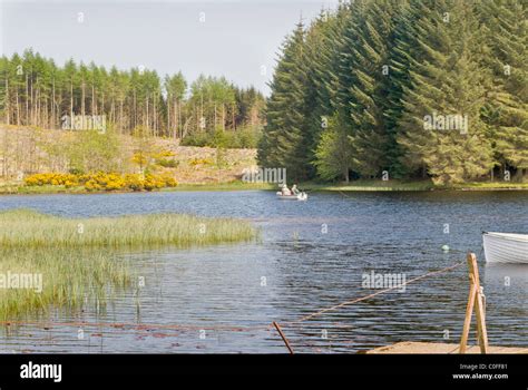 Trout Fishing On Loch Rusky Stock Photo Alamy