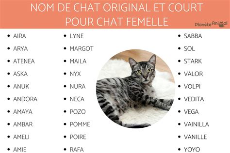 Id Es De Noms Originaux Et Courts Pour Chat