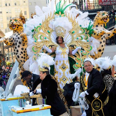 The definitive guide to the krewes of Mardi Gras | New orleans, Mardi ...