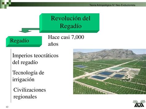 Ppt El Proceso Civilizatorio Etapas De La Evoluci N Sociocultural