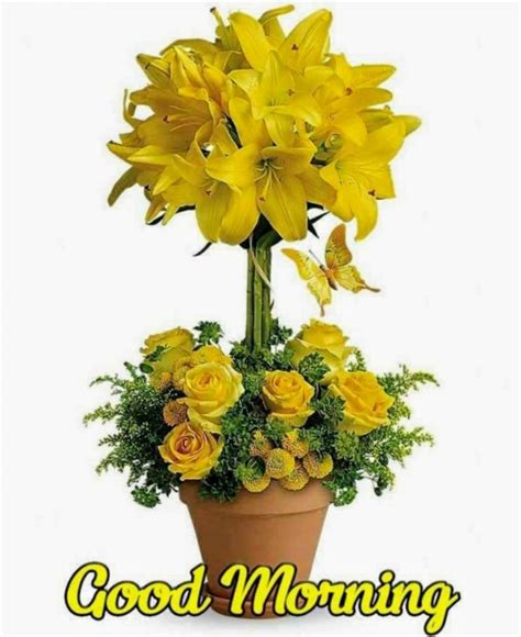 Beautiful Good Morning With Yellow Roses - DesiComments.com