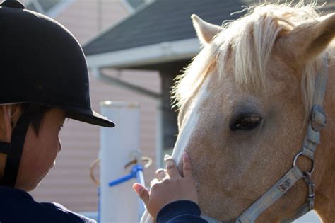 馬の豆知識 「みんなの乗馬」ブログ ページ 8