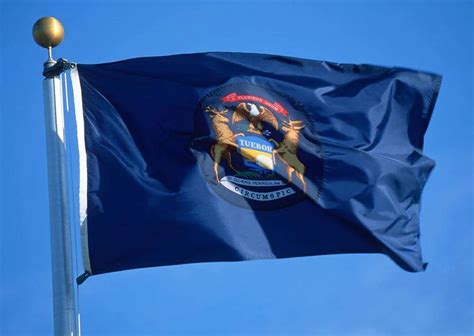 Michigan State Flags - Nylon & Polyester - 2' x 3' to 5' x 8' | US Flag ...