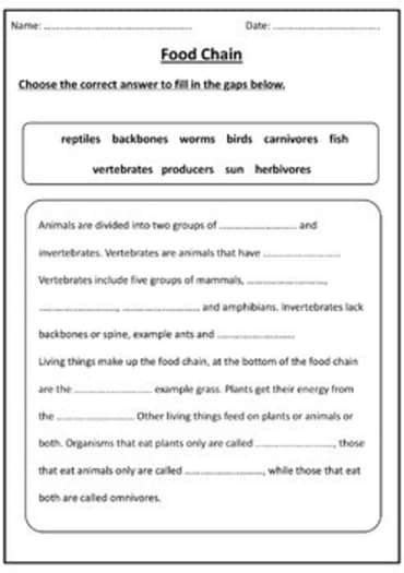 Food Chain Editable Worksheets Ms Marwa Tarek In