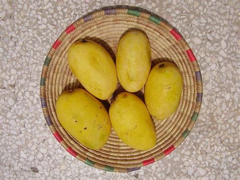 The Mango Guide To India 8 Places Famous For Mangoes