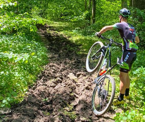 Activistul De Mediu Alex G Van Avertizeaz C Legea Privind Centura