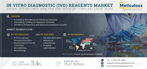 In Vitro Diagnostics Ivd Market Trends Overview Popularticles